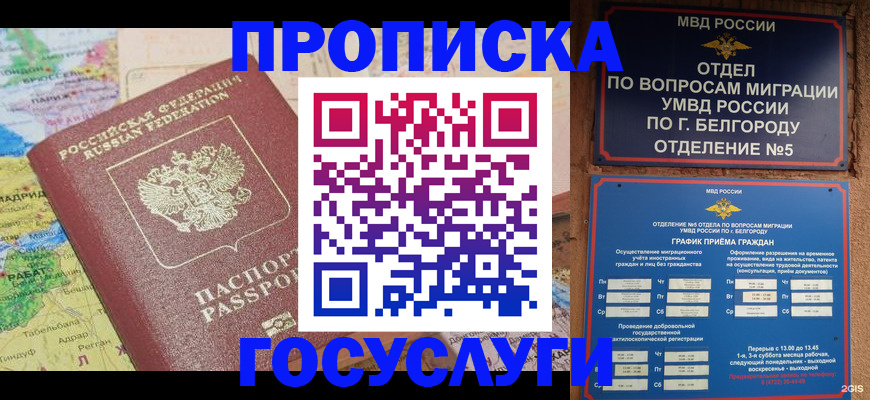 прописка регистрация в Кашине